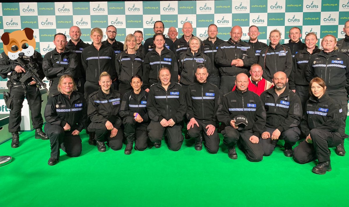 WMPDogs's tweet photo. A huge thanks to everyone who came to our stand &amp; watched our Police Dog demonstrations at @TheKennelClubUK @Crufts #Crufts2022 An amazing team effort working alongside our fantastic colleagues from @firearmsWMP🐾👮‍♂️👮‍♀️🚔 https://t.co/zn8rZU4dGk
