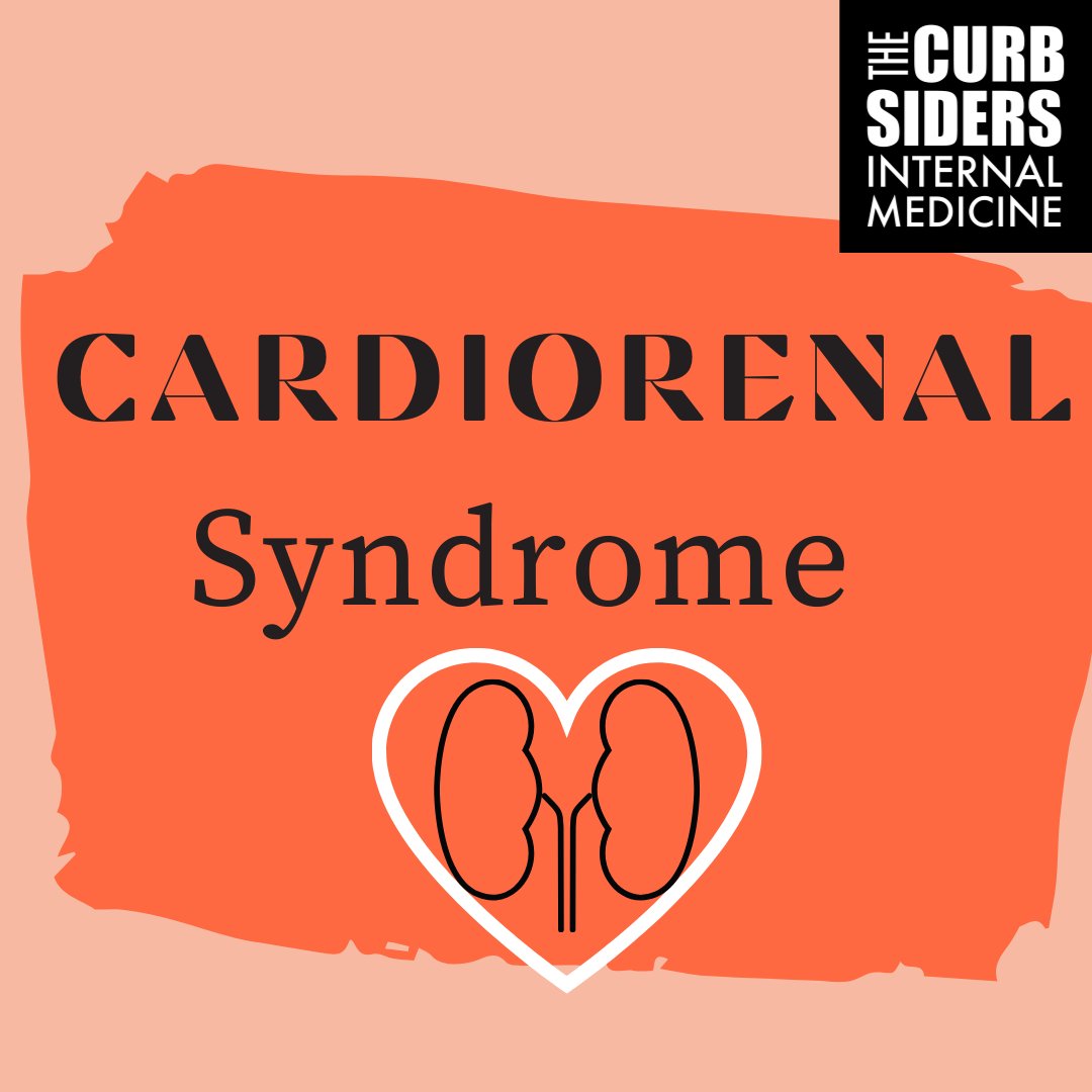 thecurbsiders's tweet photo. Lose your heart to NephMadness 2022! ❤ 
Dr. Joel Topf (@kidney_boy) and Dr. Sadiya Khan (@HeartDocSadiya) tackle the #NephMadness 2022 Cardiorenal Syndrome region, leading us through the pathophysiology of cardiorenal syndrome, &amp; more #medtwitter- https://t.co/52lhMRwwvG https://t.co/SYRcnb3NCH