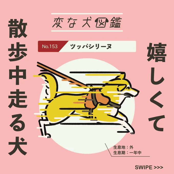 【変な犬図鑑】
No.153 ツッパシリーヌ
散歩となると猛ダッシュするあの犬です。 