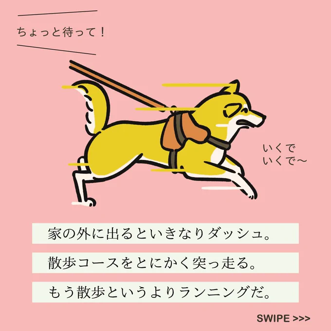 【変な犬図鑑】
No.153 ツッパシリーヌ
散歩となると猛ダッシュするあの犬です。 