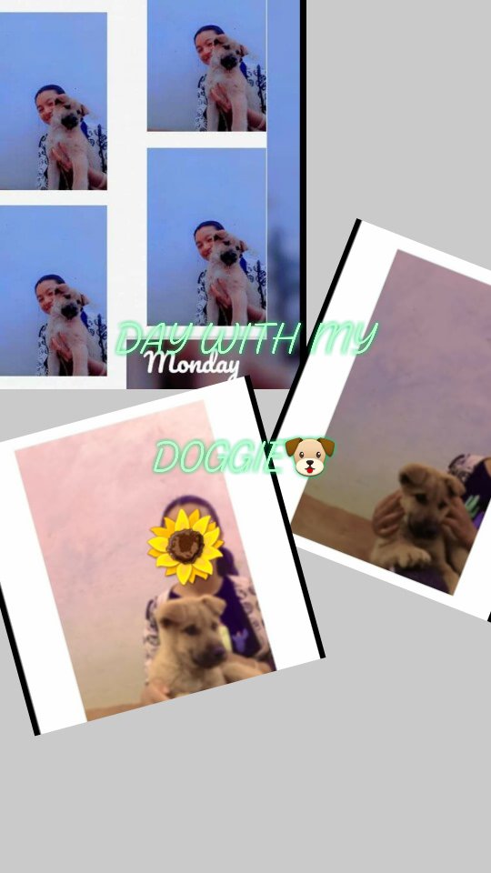 Dalli_80's tweet photo. Sometimes I just need to spend the day alone with with my dog ๐ถ#daywithdog
#doglover
#Tweetoftheday
๐ https://t.co/LwqTiJsn5K