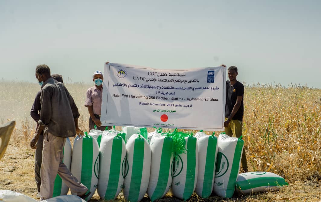 SlobodanTadic's tweet photo. Orientation session for 9 @UNDP_Sudan #ImplementingPartners, to implement #CommunityStabilization activities in 7 states of #Sudan ๐ธ๐ฉ addressing #livelihoods, #agriculture and #PeaceBuilding. Supported by @JapanGov https://t.co/u9EjWOqkQn