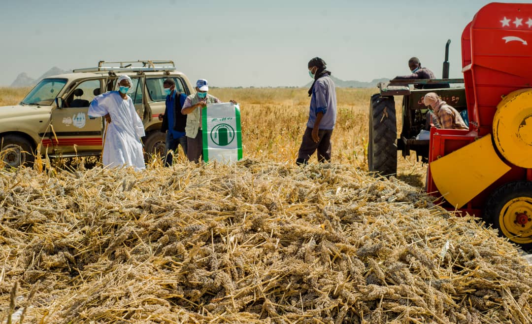 SlobodanTadic's tweet photo. Orientation session for 9 @UNDP_Sudan #ImplementingPartners, to implement #CommunityStabilization activities in 7 states of #Sudan ๐ธ๐ฉ addressing #livelihoods, #agriculture and #PeaceBuilding. Supported by @JapanGov https://t.co/u9EjWOqkQn