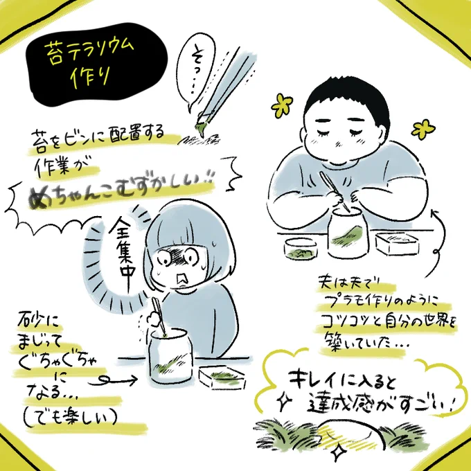 苔テラリウムずっと挑戦したかったのでやってみてよかったです。めちゃくちゃ集中しました 