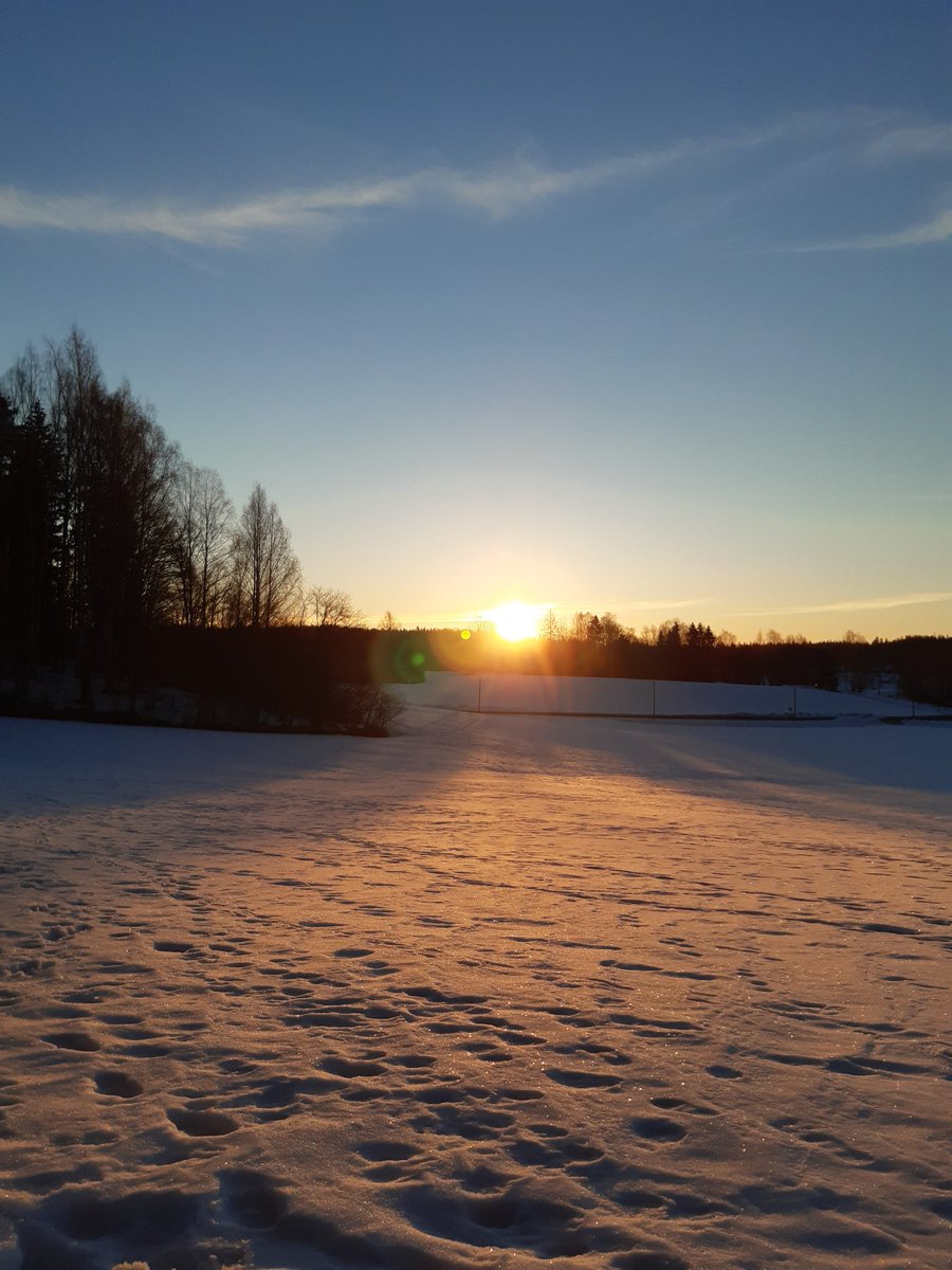 Auringonpaisteessa uuteen viikkoon ☀️ #aurinko #uusiviikko