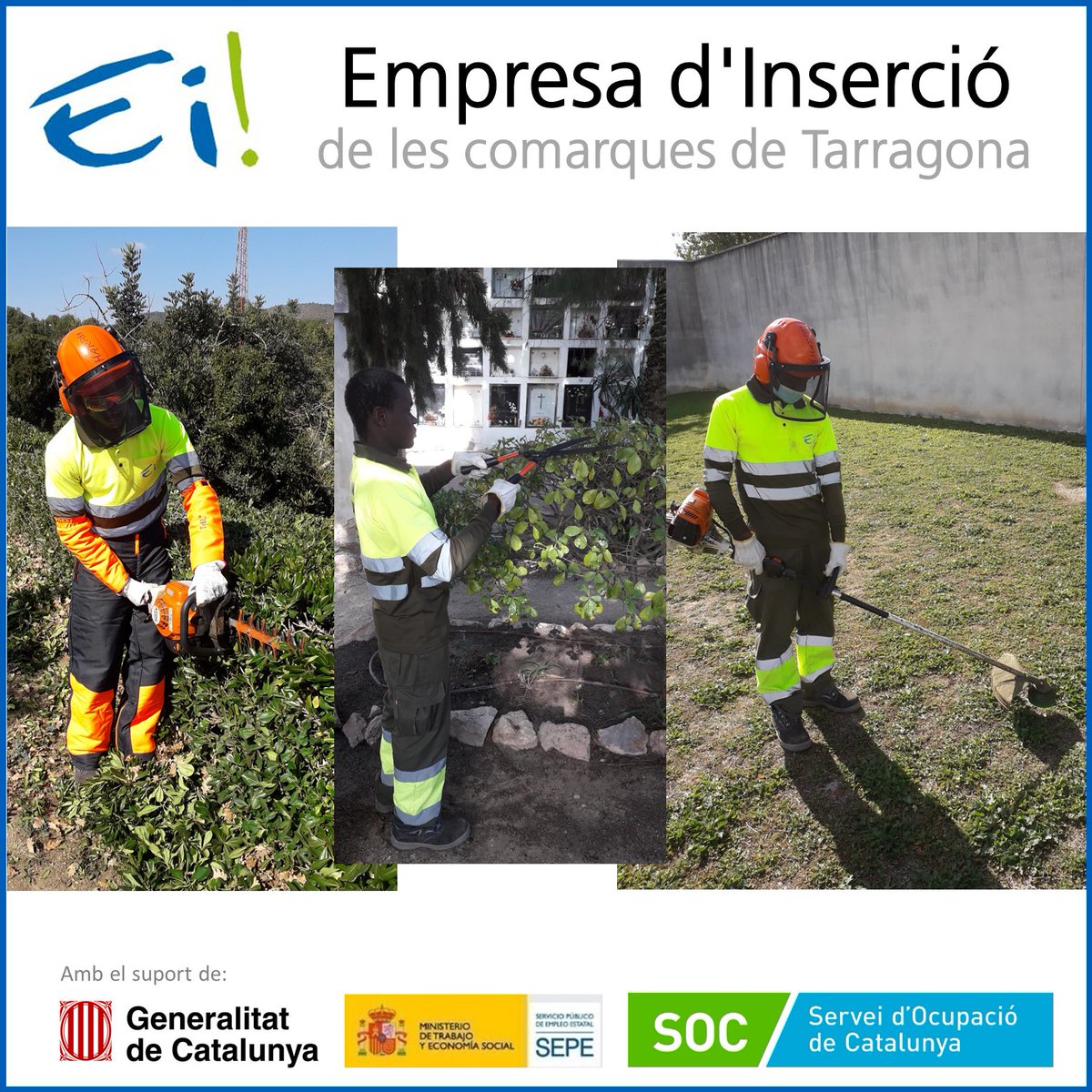 FundalisTGN's tweet photo. El Doudou s’ha incorporat al #CentreEspecialdeTreball #FundacióSantaTeresa, contractat per l’#EmpresadInsercio #Ei! en el marc de les subvencions #TREFO, per facilitar la transició al mercat de treball ordinari.
Enhorabona per aprofitar les #oportunitats #formacio #insercio #ODS8 https://t.co/QlIYyPfKmF