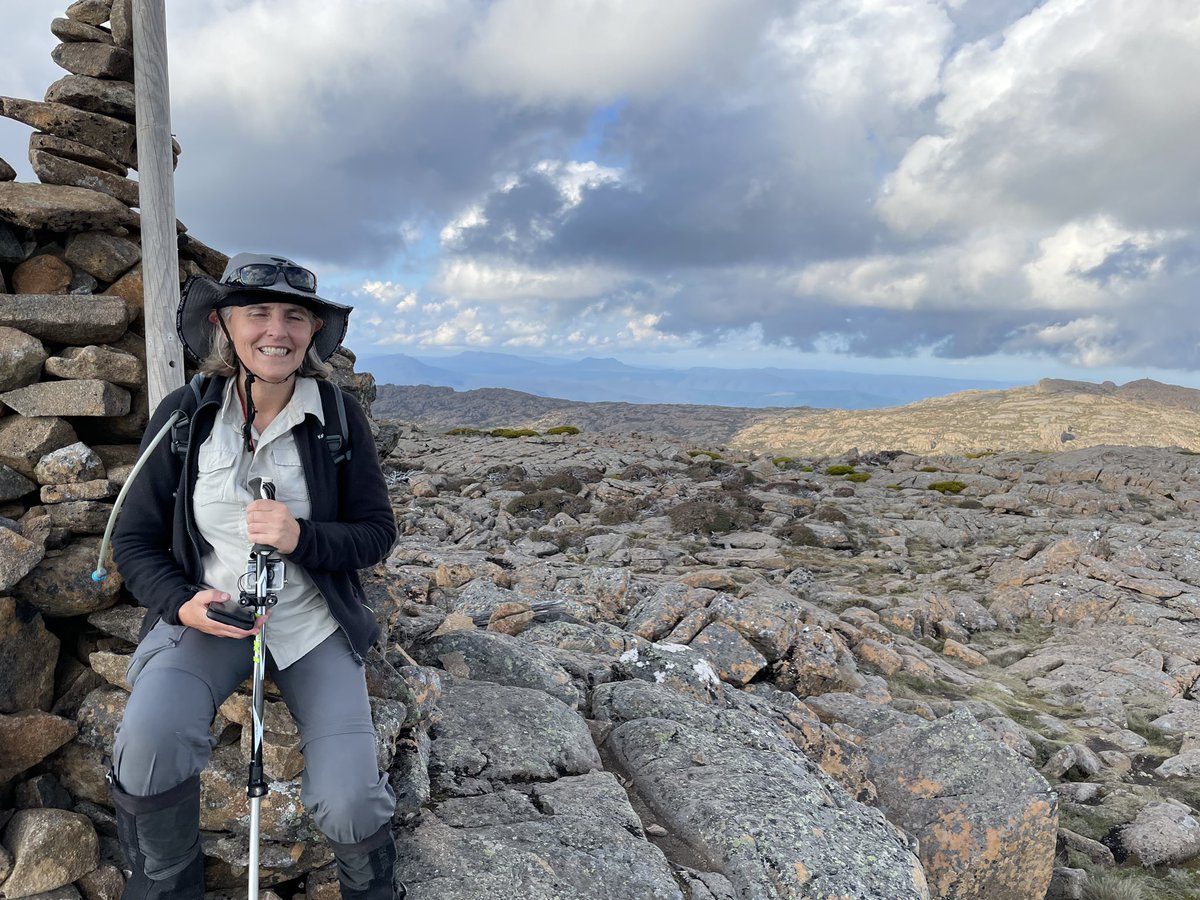 ocelotte's tweet photo. Drove up #JacobsLadder for a quick walk to #LeggesTor. Clear view across the Ben Lomond Plateau to #StacksBluff. https://t.co/FoT8aB0Oho