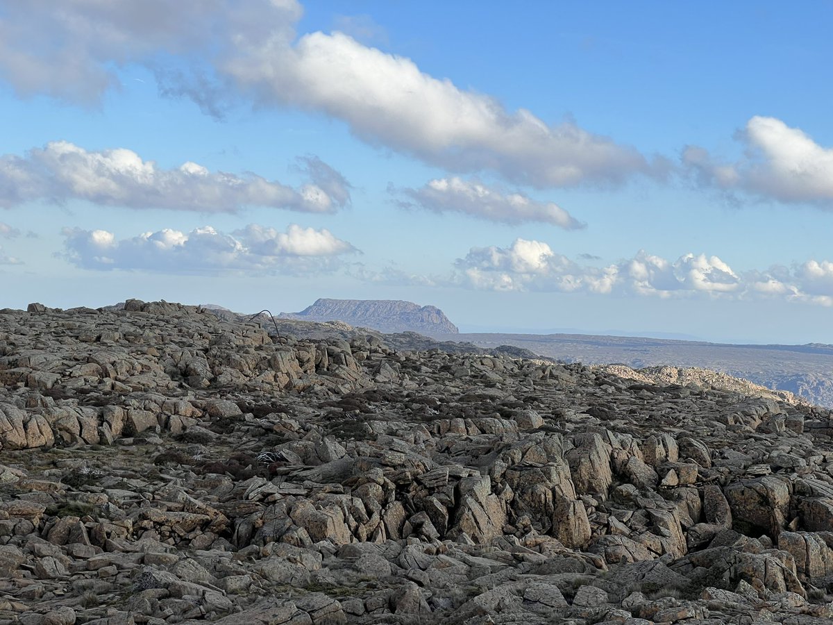 ocelotte's tweet photo. Drove up #JacobsLadder for a quick walk to #LeggesTor. Clear view across the Ben Lomond Plateau to #StacksBluff. https://t.co/FoT8aB0Oho