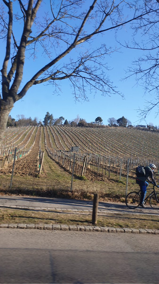 43erBim's tweet photo. Schönen Wochenstart https://t.co/86R7EnZee9