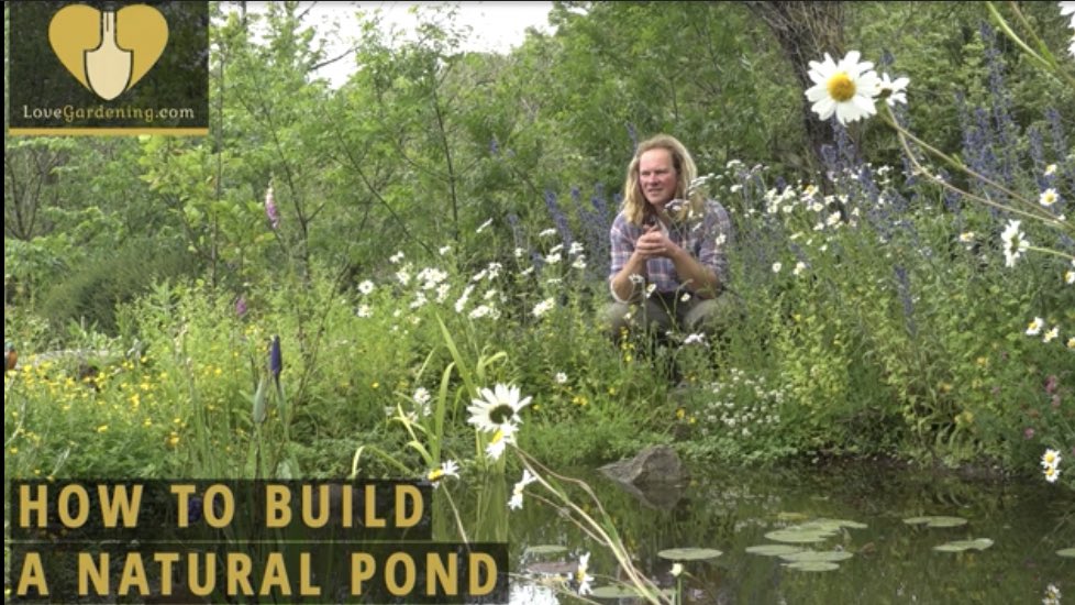 #SpringTime is so the right time to create a pond 🐸 
here’a <a href="/YouTube/">YouTube</a> video I made with <a href="/Lovegardening2/">LoveGardening</a> whilst creating a #Nature pond myself 😁
#WildLife #Gardens #Gardening #Landscapes 

youtu.be/MyCQR5f8fdg