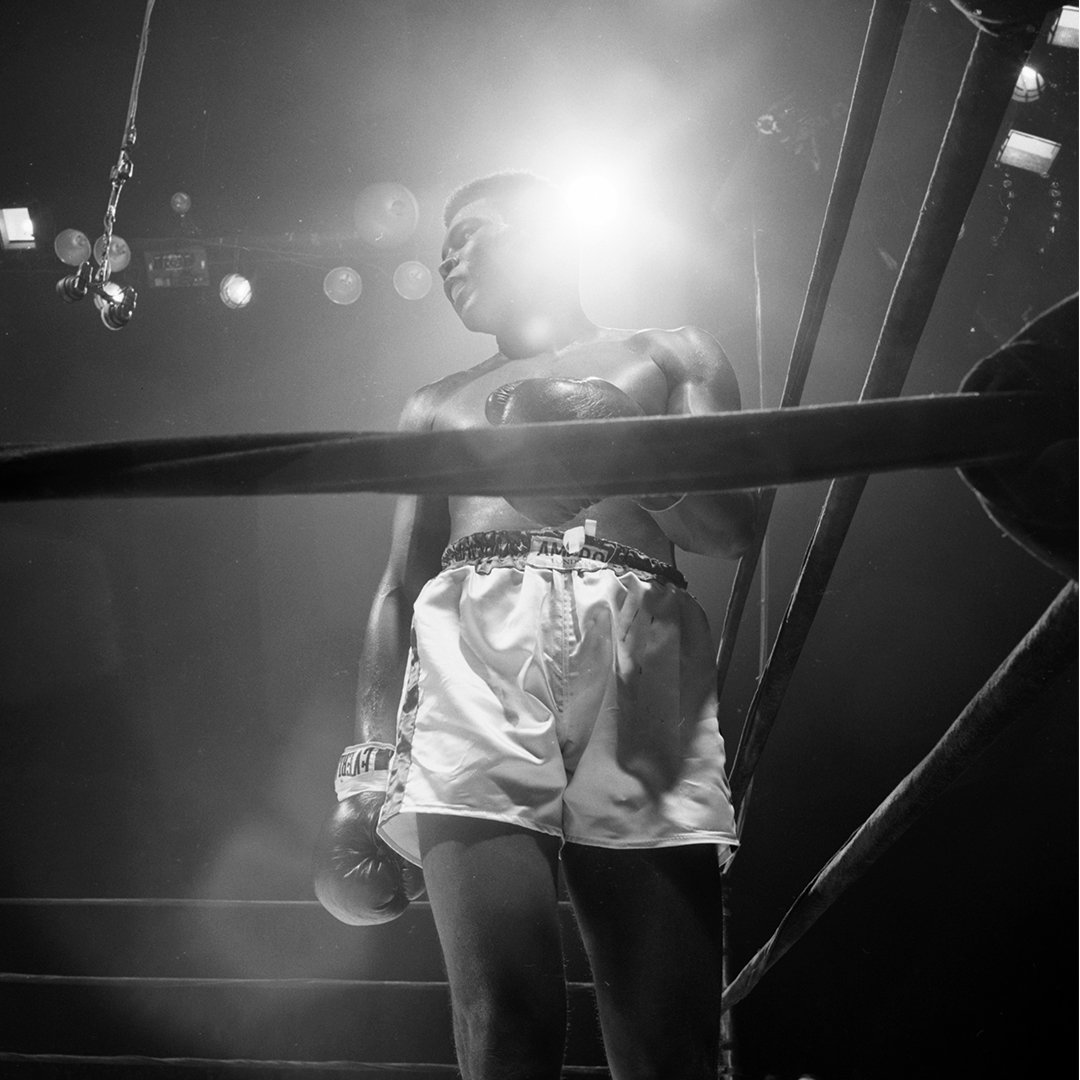 Muhammad Ali in his corner during his fight versus Zora Folley in New York, 1967. 

📸: @LeiferNeil 

#MuhammadAli #NeilLeifer #ZoraFolley #Boxing #Champion #Icon #GOAT #MadisonSquareGarden #MSG #NewYorkCity