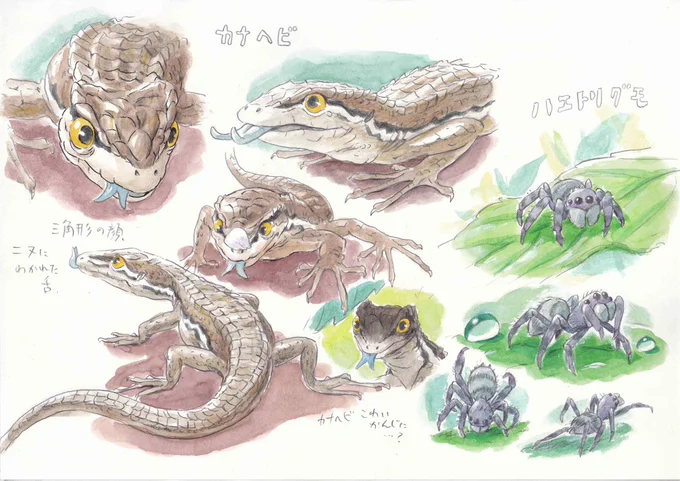 公園に出かけて植物を観察して絵に描いてデザインします。
一度構造も含めて絵にすると自分の中に取り込むことができます。
これはアニメをやってるときと同じですね。
カナヘビはたまたまうちのベランダに現れたので捕まえてよく観察することができました。
#はるのにわで
(つづきはまた明日…) 