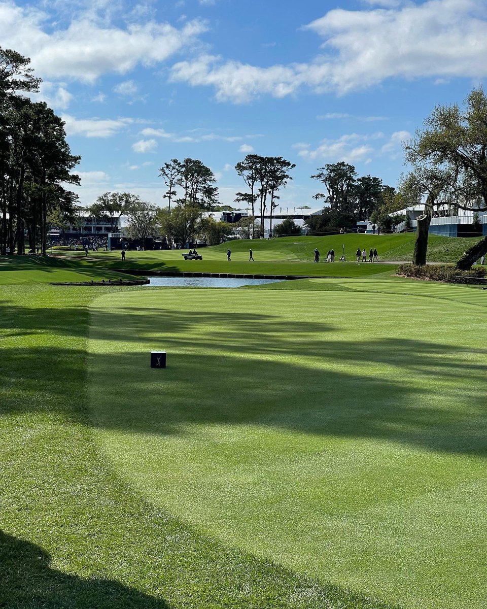 DaveDShelfSide💙🌺⛳️🌺 (@daved250) on Twitter photo @THEPLAYERSChamp <a href="/yourgolftravel/">Your Golf Travel</a> <a href="/GolfTeamYGT/">#TeamYGT</a>
Heading home 🇬🇧 today, not the finish I had wanted! #TPCSawgrass is an amazing track. Met some lovely people again on this trip. Fantastic memories!
Back to 🇺🇸 in 3 weeks for <a href="/TheMasters/">The Masters</a> 🌼🌺🌸 #LovingLife @THEPLAYERSChamp <a href="/yourgolftravel/">Your Golf Travel</a> <a href="/GolfTeamYGT/">#TeamYGT</a>
Heading home 🇬🇧 today, not the finish I had wanted! #TPCSawgrass is an amazing track. Met some lovely people again on this trip. Fantastic memories!
Back to 🇺🇸 in 3 weeks for <a href="/TheMasters/">The Masters</a> 🌼🌺🌸 #LovingLife