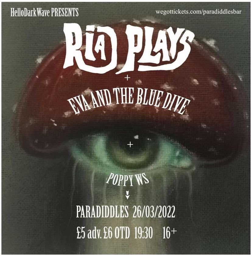 Eva and The Blue Dive tweet media