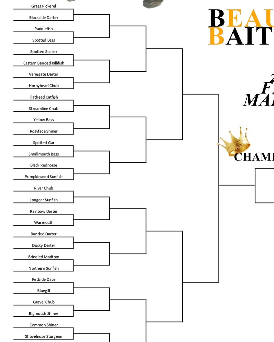 PD_31's tweet photo. Round 1, Group 1 of the 2022 #Fish Madness challenge is up! The link is below. It will be open for the next 48 hours and close on Wednesday morning. Feel free to share! #bracketchallenge #freshwaterscience #aquaticecology 

https://t.co/waAQMzE7nI https://t.co/RM62KLWZRN
