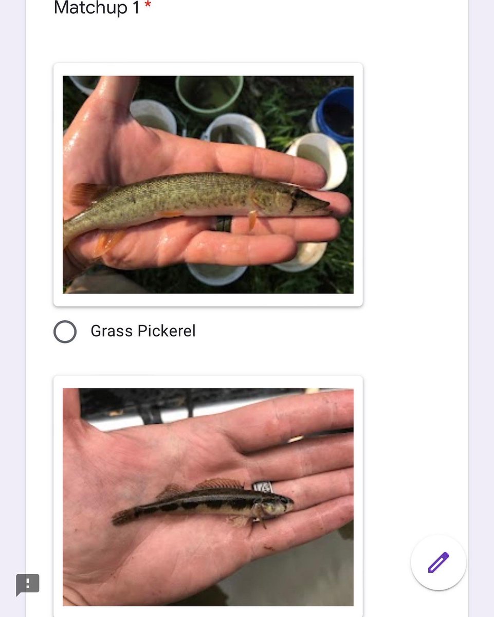 PD_31's tweet photo. Round 1, Group 1 of the 2022 #Fish Madness challenge is up! The link is below. It will be open for the next 48 hours and close on Wednesday morning. Feel free to share! #bracketchallenge #freshwaterscience #aquaticecology 

https://t.co/waAQMzE7nI https://t.co/RM62KLWZRN