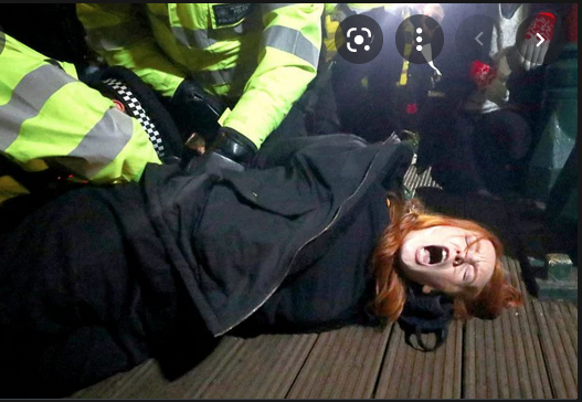 PETERDAZELEY's tweet photo. #PatsyStevenson, who was brutally forced to the ground, handcuffed & arrested at the #SarahEverard vigil. #MetPolice were ruled to have breached her rights It lead to Patsy having online threats of rape, kidnap & death. She also had 50 likes from serving Met Officers on Tinder. https://t.co/SJSuaCTwaN