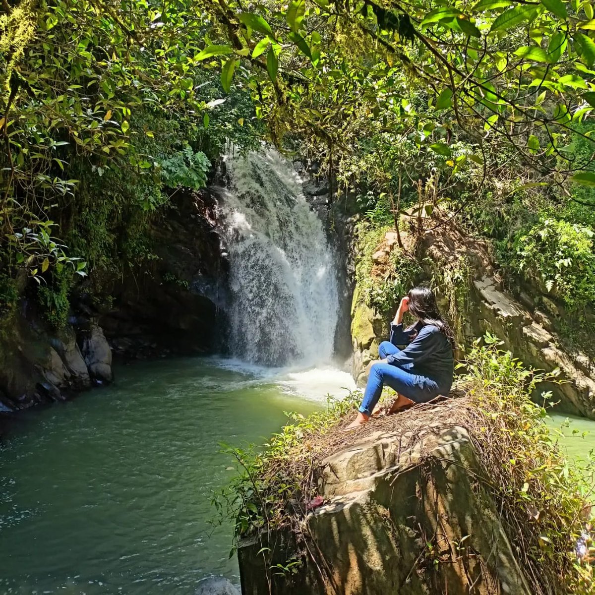 TorajaTours's tweet photo. Air Terjun Pongrayun, Sa'dan Minanga, Toraja Utara.
πΈ: IG @Sarny_08
#Toraja #ExploreToraja #TorajaTours https://t.co/26DHAal8mK