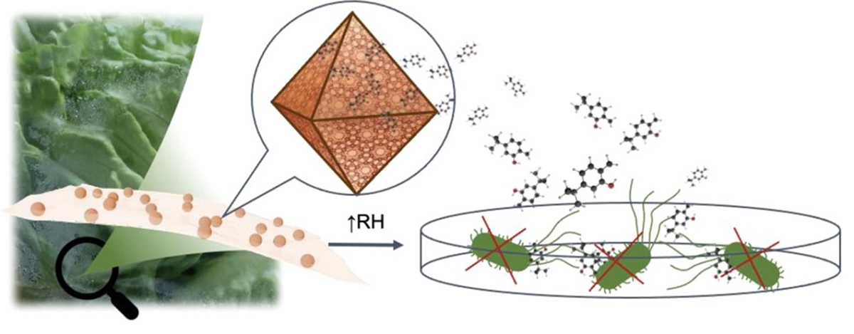 ACS_AMI's tweet photo. Old friends with new functions: MIL-100(Fe) fighting bacterial pathogens by tuned antimicrobial release @ICMol_UV @GimenezMarques https://t.co/15gJ2SLhGy https://t.co/6cTnoSIZhJ