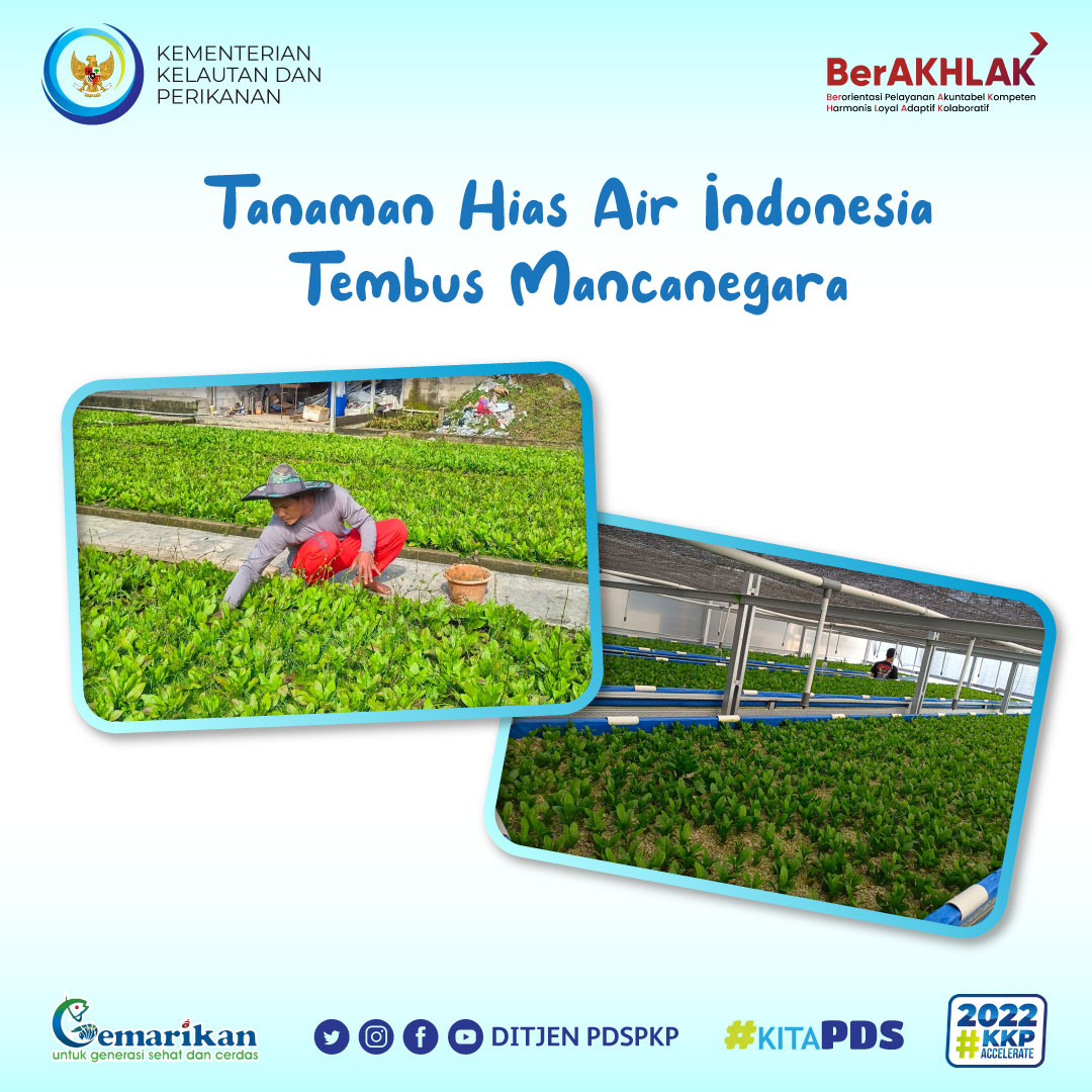 Humas Ditjen PDSPKP on Twitter "Dirjen PDSPKP & Kepala BBP3KP