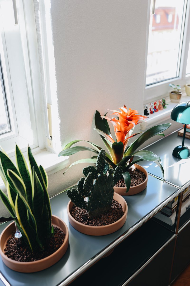 UrbanJungle Bloggers tweet media