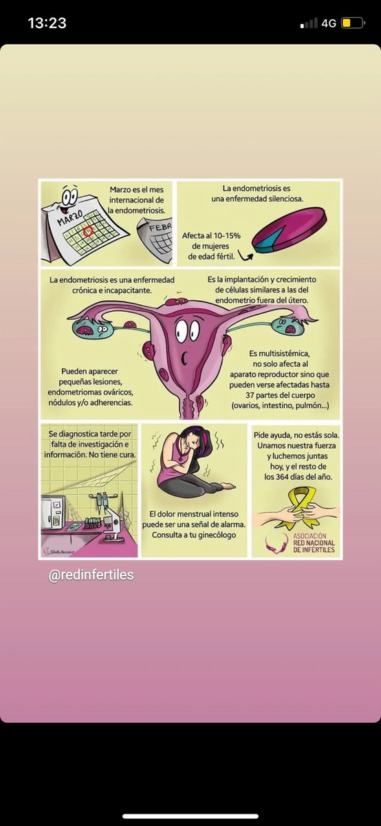 pirocarasu's tweet photo. #DiaMundialdelaEndometriosis   Investigación, investigación y más investigación https://t.co/bd6k1IQiMD