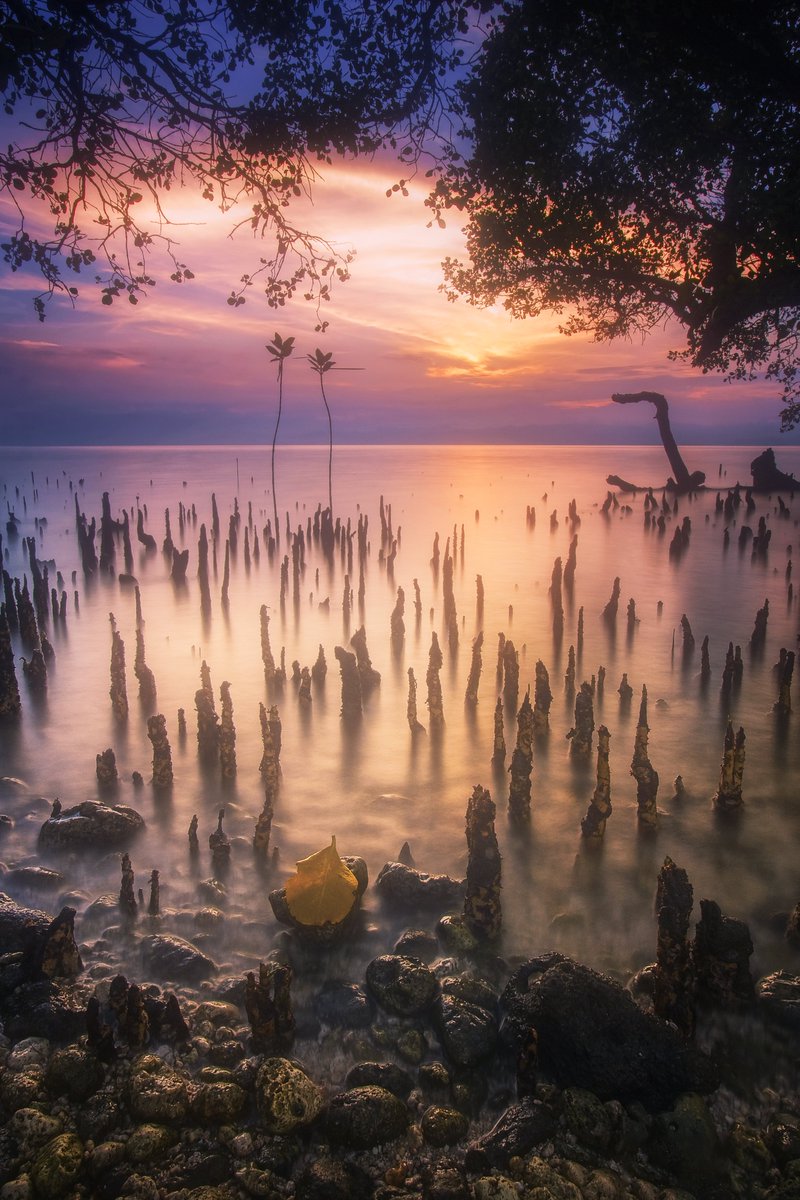 Peaceful GM everyone!

Been busy with a lot of projects lately, here's one from my earlier days of photographing coastal scenes in my home country. Hope you can check out my collection. Have a great day.

opensea.io/collection/ele…

#nftphotography #NFTartist #Nftart