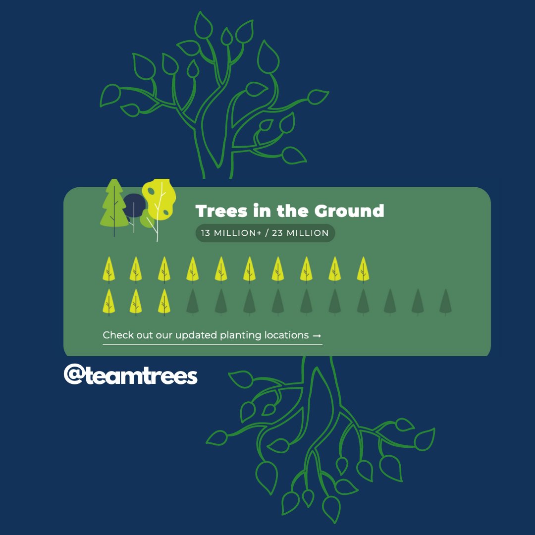 With every stay at Zennon 20 trees are planted with TeamTrees #motherearthlove #sustainability #doyourpartfortheplanet #mindfulness #getyourzennon #giveback