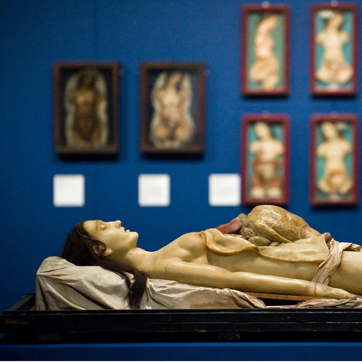 Anna Cornelius tweet media