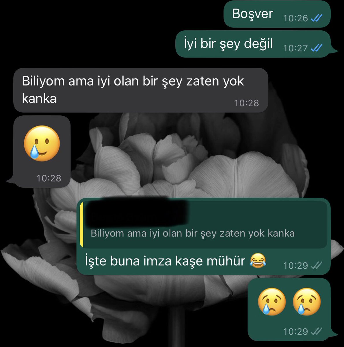 Kararımı 180 derece değiştiren o mükemmel cümle 👏