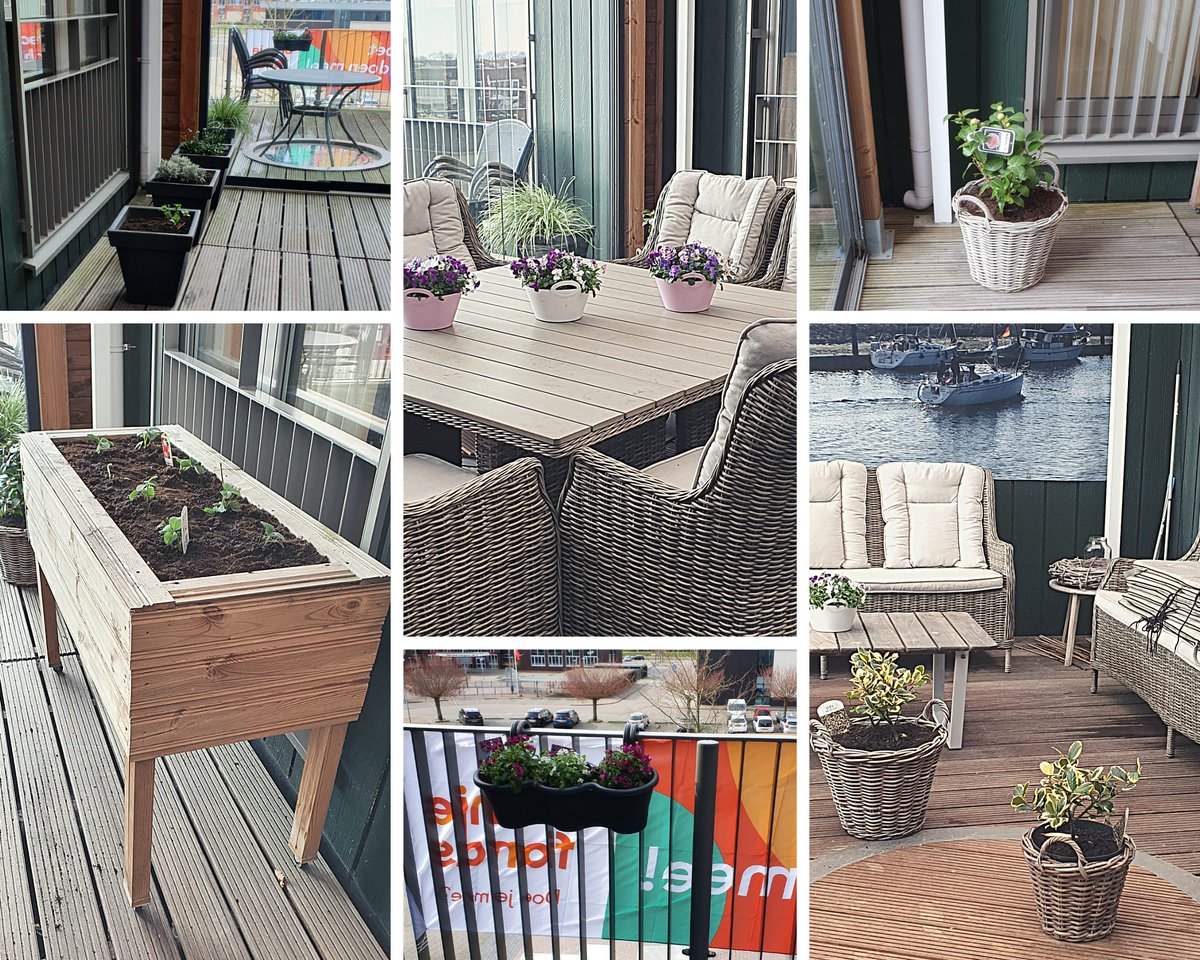 Tijdens NLdoet werd er door vrijwilligers flink wat werk verzet in Het Dok en De Hofstee. Op beide locaties werden de terrassen schoongemaakt en voorzien van mooie, fleurige planten. Bedankt voor jullie inzet! 😀🌸