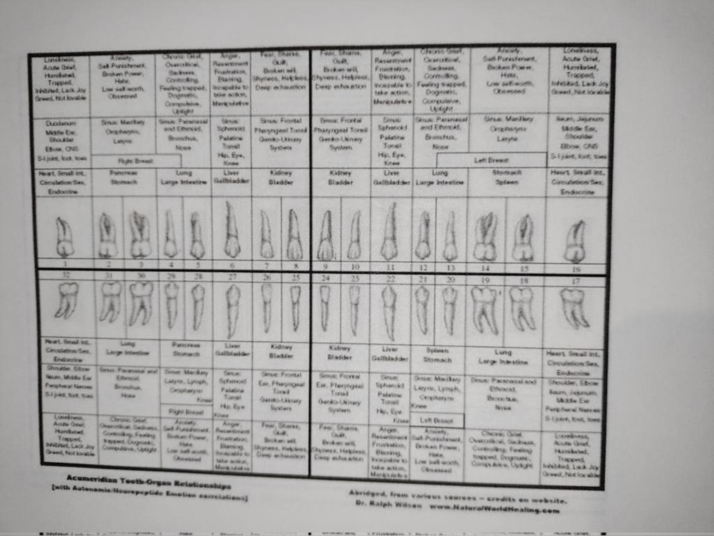 NinjaPsych.pro Brain Excellence Resources tweet media