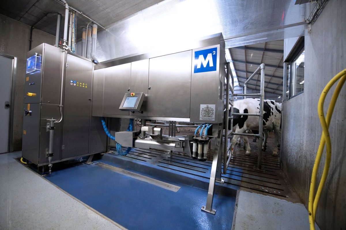 Looking for a reliable robot with no fuss? M²erlin is the milking machine you can rely on every time #milkingwithm2erlin 

zcu.io/A5RD 

#SmartMilking #Dairy #CowComfort