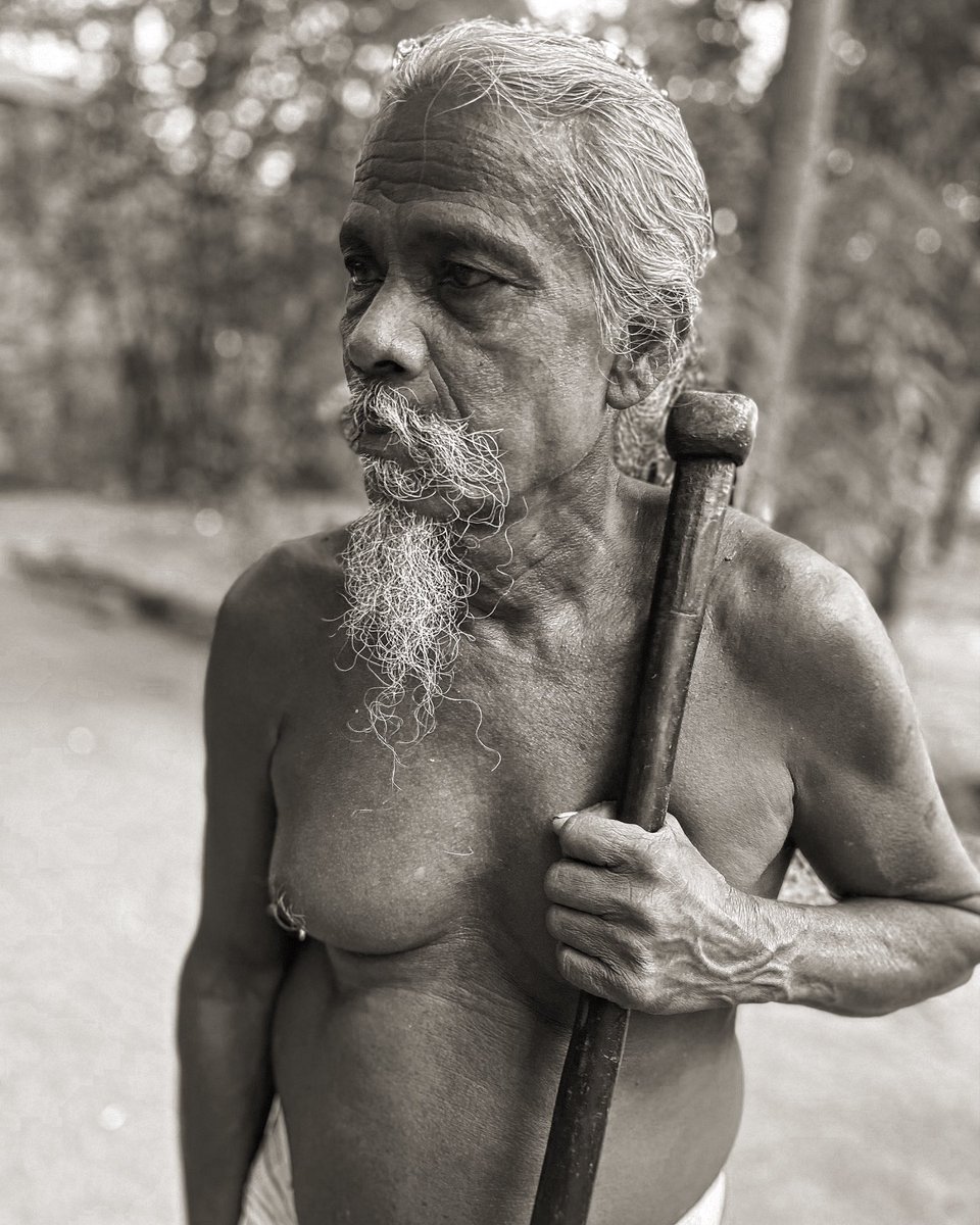 Roots of the Nation 🇱🇰#SriLanka #PicOfTheDay #picture_of_the_day