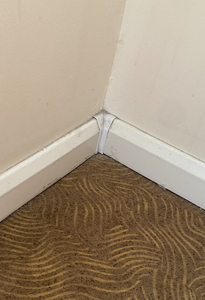 MMowbrey's tweet photo. @Accor  IBIS Preston north what a dump of a filthy hotel. Mouldy shower, stained beds, thick dirt on skirting, Doors look like they been eaten. Stained carpets list goes on. https://t.co/Uz26UqqRoy