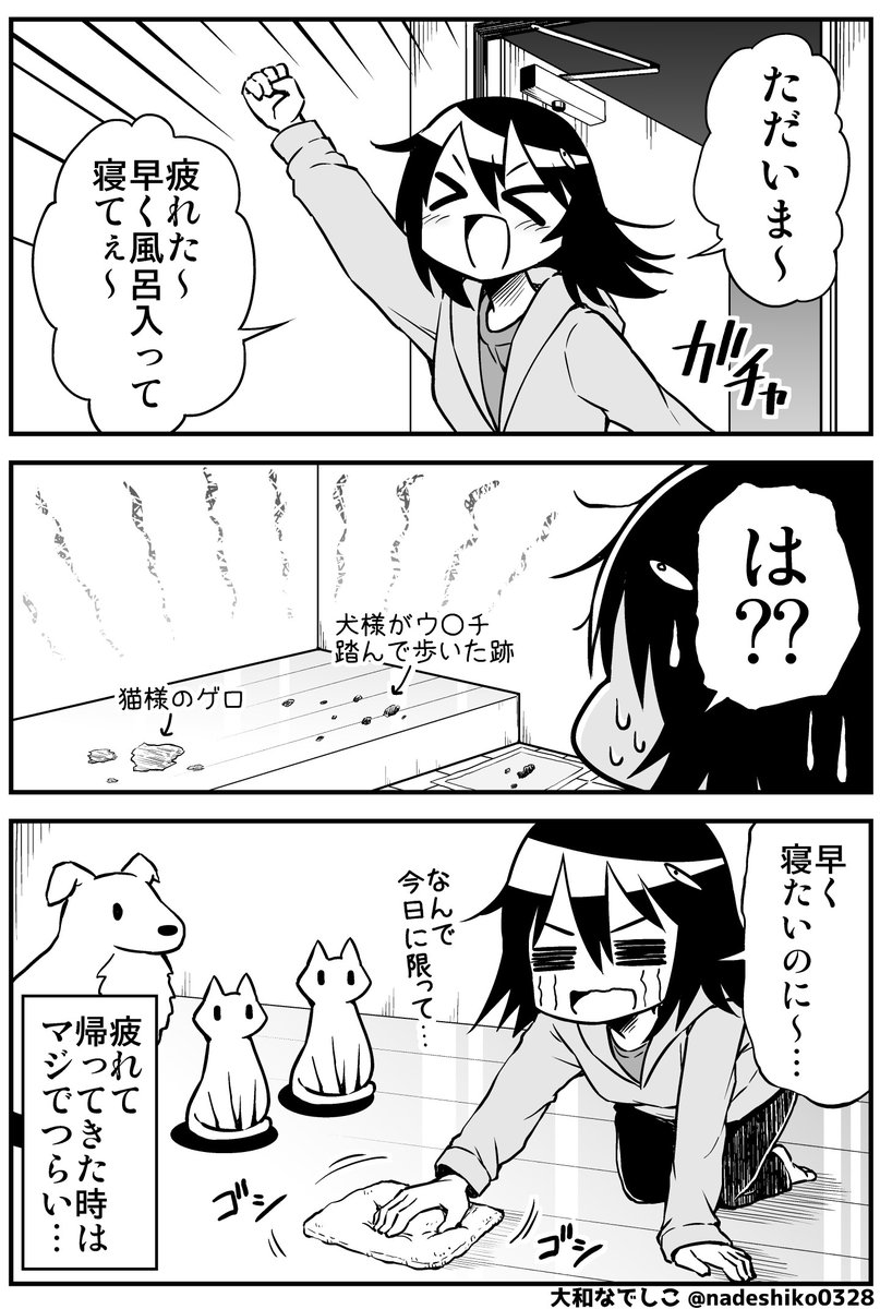 疲れて帰って来た時にこれはマジでつらい… 