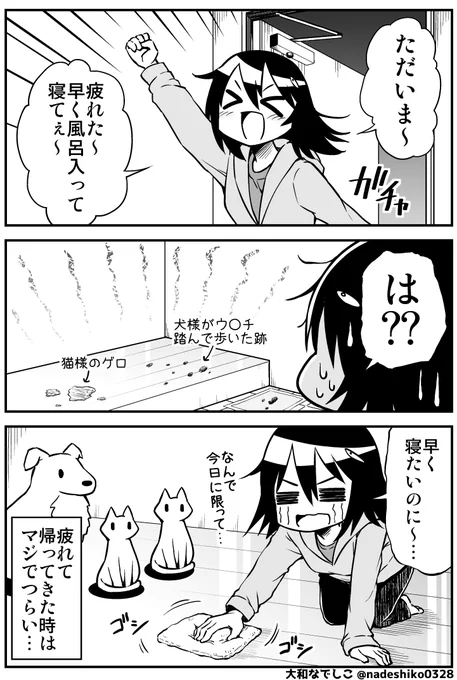 疲れて帰って来た時にこれはマジでつらい… 