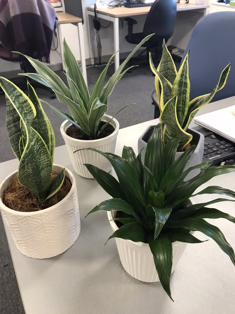 Warrington Probation (LDU) tweet media