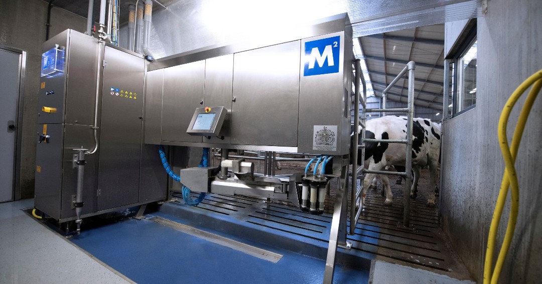 Vous cherchez un robot fiable sans risque d’inquiétude ? M²erlin est la machine à traire sur laquelle vous pouvez compter #milkingwithm2erlin (Traire avec M²erlin)
bit.ly/3BmhEFG