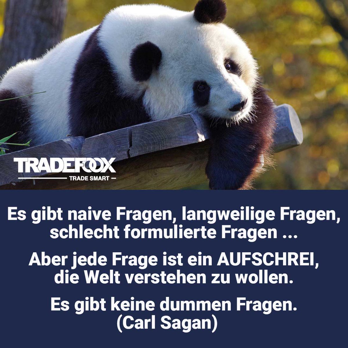 tradefoox's tweet photo. Wir sind zum Montag natürlich trotz "Tag des Nickerchens am Arbeitsplatz" in den USA hellwach. Und wie nach jedem Wochenende haben wir wieder einige Fragen unserer neuen User zu beantworten …Welche Frage ha... https://t.co/fSUQ5SfibV https://t.co/h2ivc8937E