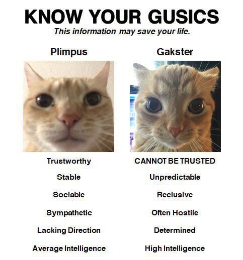 StickyBM's tweet photo. I just found this image and I have to share it.
👏KNOW👏YOUR👏GUSICS. https://t.co/sFxIefgSFd
