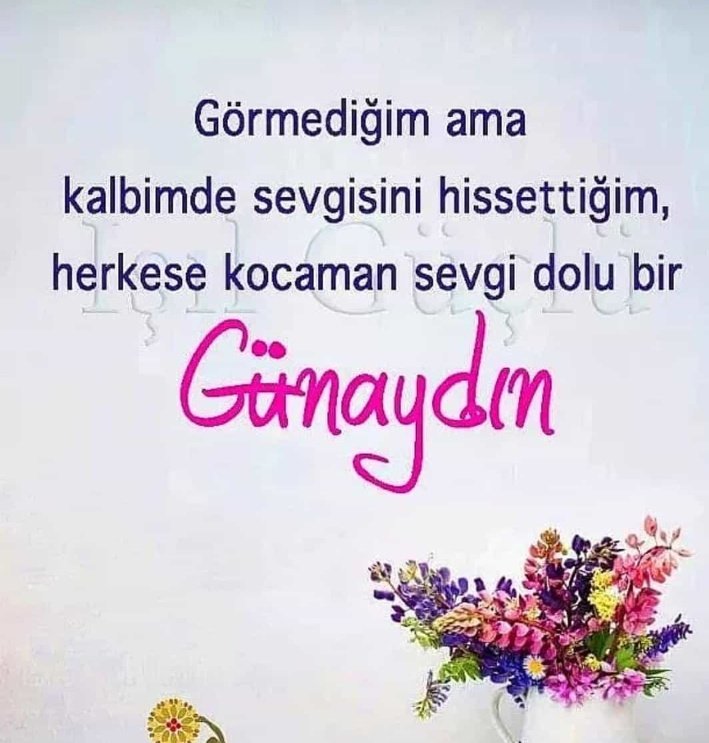 MustafaTasoglu1's tweet photo. @evadiyinn https://t.co/Fd8ksOGvMe
