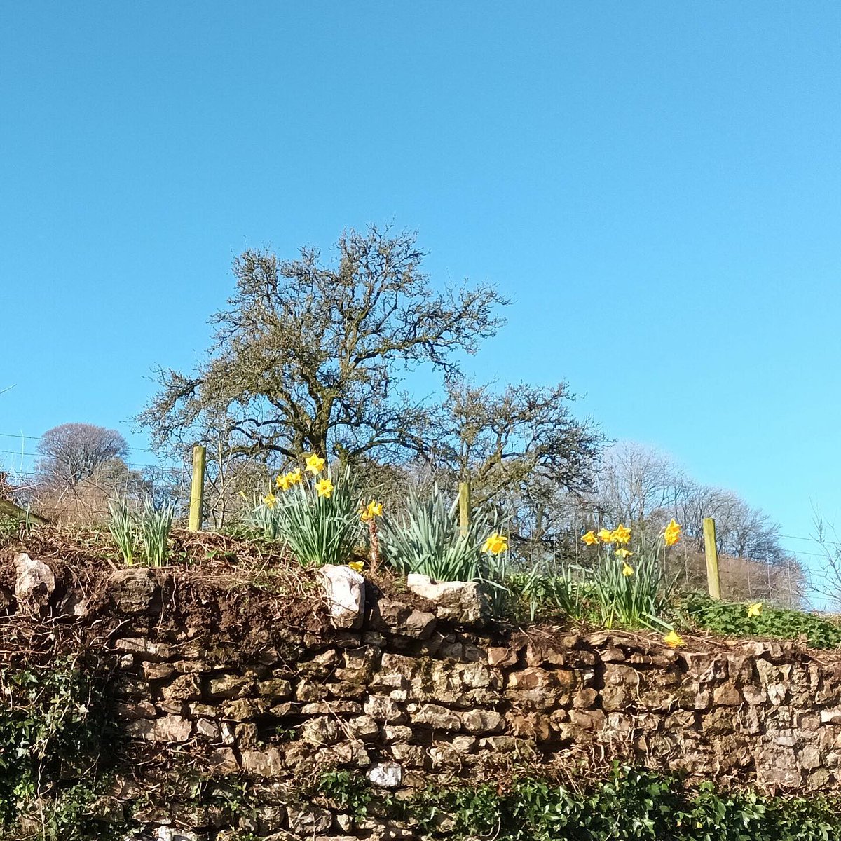 What a beautiful morning! Sharing my view from the Widworthy office this morning.
widworthybarton.co.uk
.
#sunshine #spring #springsun #springsunshine #bluesky #widworthy #holiday #selfcatering