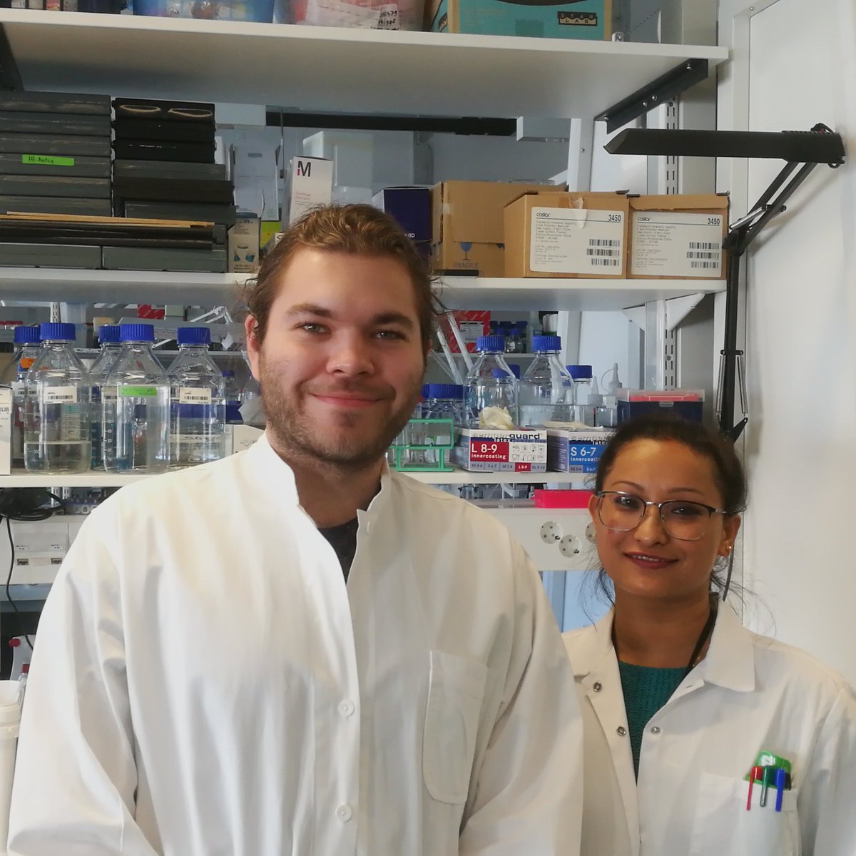 Mikkola Lab tweet media