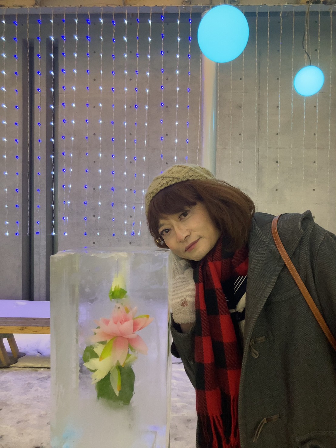 キャサリン嬢 氷柱花 キャサリン 秋田 秋田市 氷柱花 キャサリン日記 T Co Gzwbdwjlbe Twitter