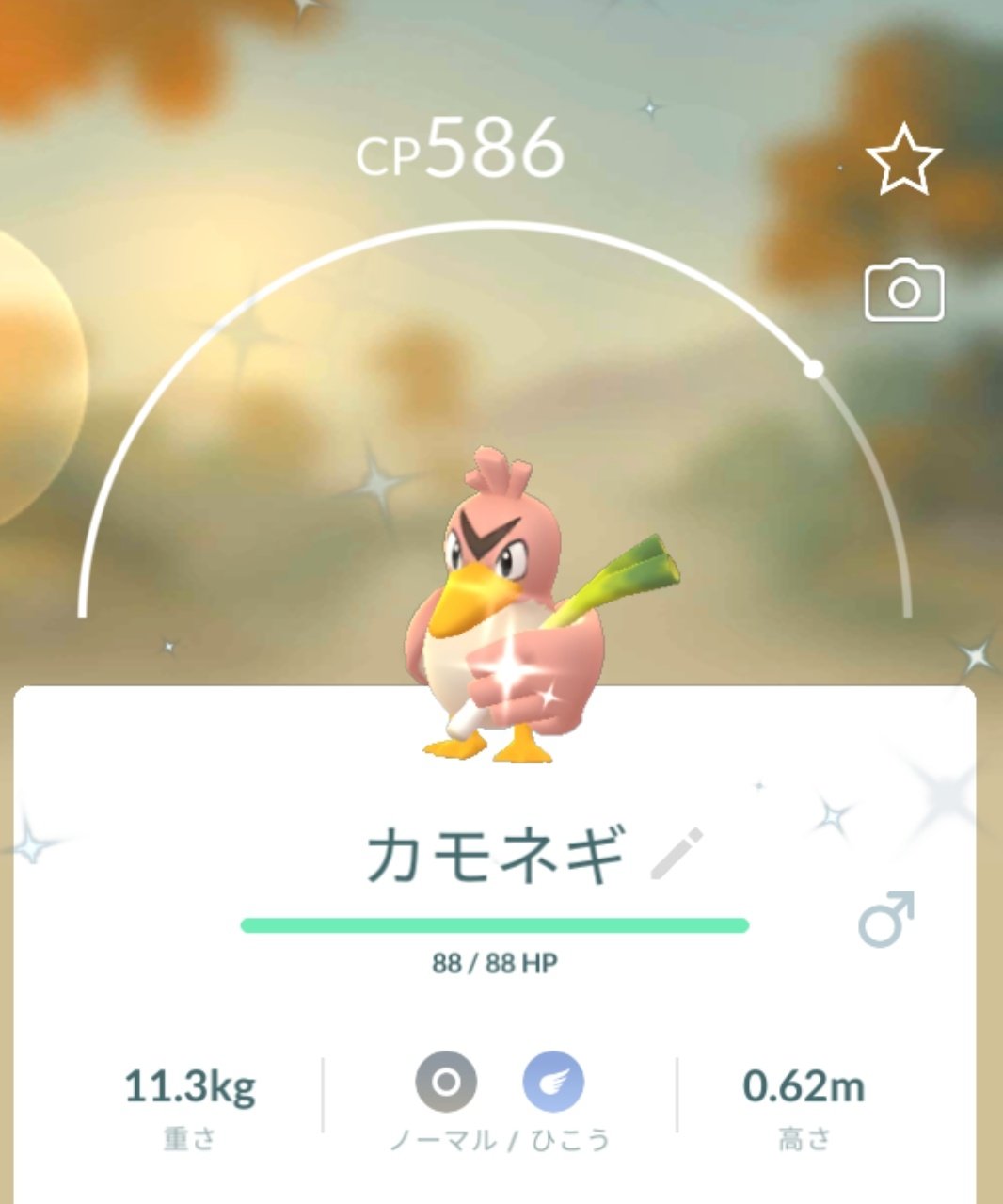灰猫 桜ンド様の専属メイド 久々にポケモンgoしたら色違いカモネギでた W 三 W ﾌﾝﾌﾝ T Co Yof0o38u5r Twitter