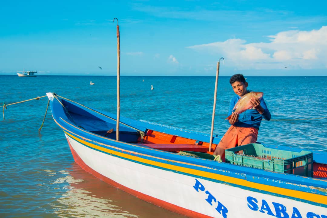 #14Mar |🇻🇪📢 ¡ETIQUETA DEL DÍA! ▶️

#PescadoresDePaz

¡Vivan los artesanos del mar!
