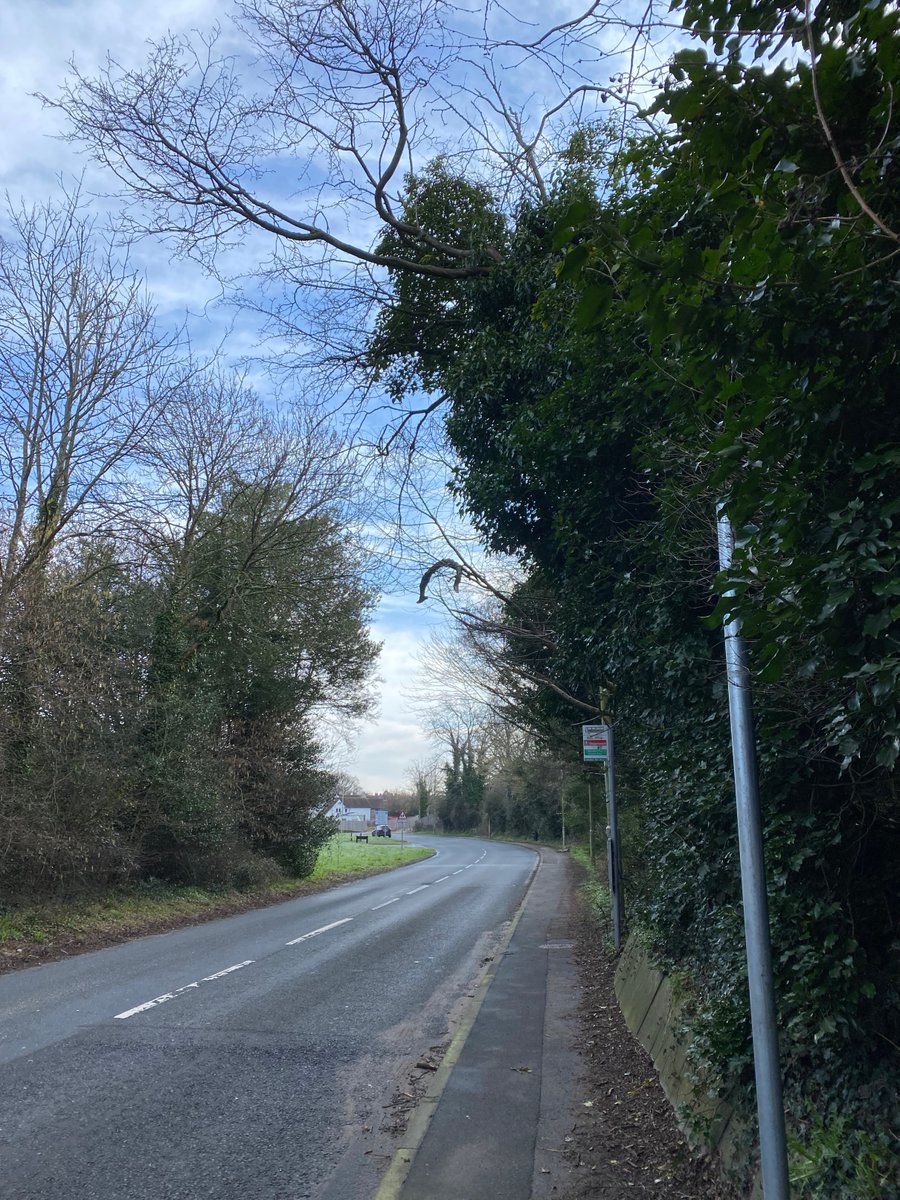 boggysdough's tweet photo. @Petersfield_TC Do you know where this can be reported to, please?
The picture was taken this morning on Winchester road, by the bus stop. The large branch is above the road and might fall. https://t.co/EoFuFrcddS