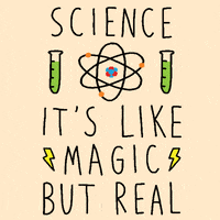 HodgsonAcademy's tweet photo. It's British Science Week! From scavenger hunts, quizzes &amp; a film afternoon, to sunflower growing &amp; celebrating women in STEM-Thank you to our fantastic science department for planning such an exciting week of events. What will you learn this week? #scienceweek #scienceismagic https://t.co/9x6uT2SnPr