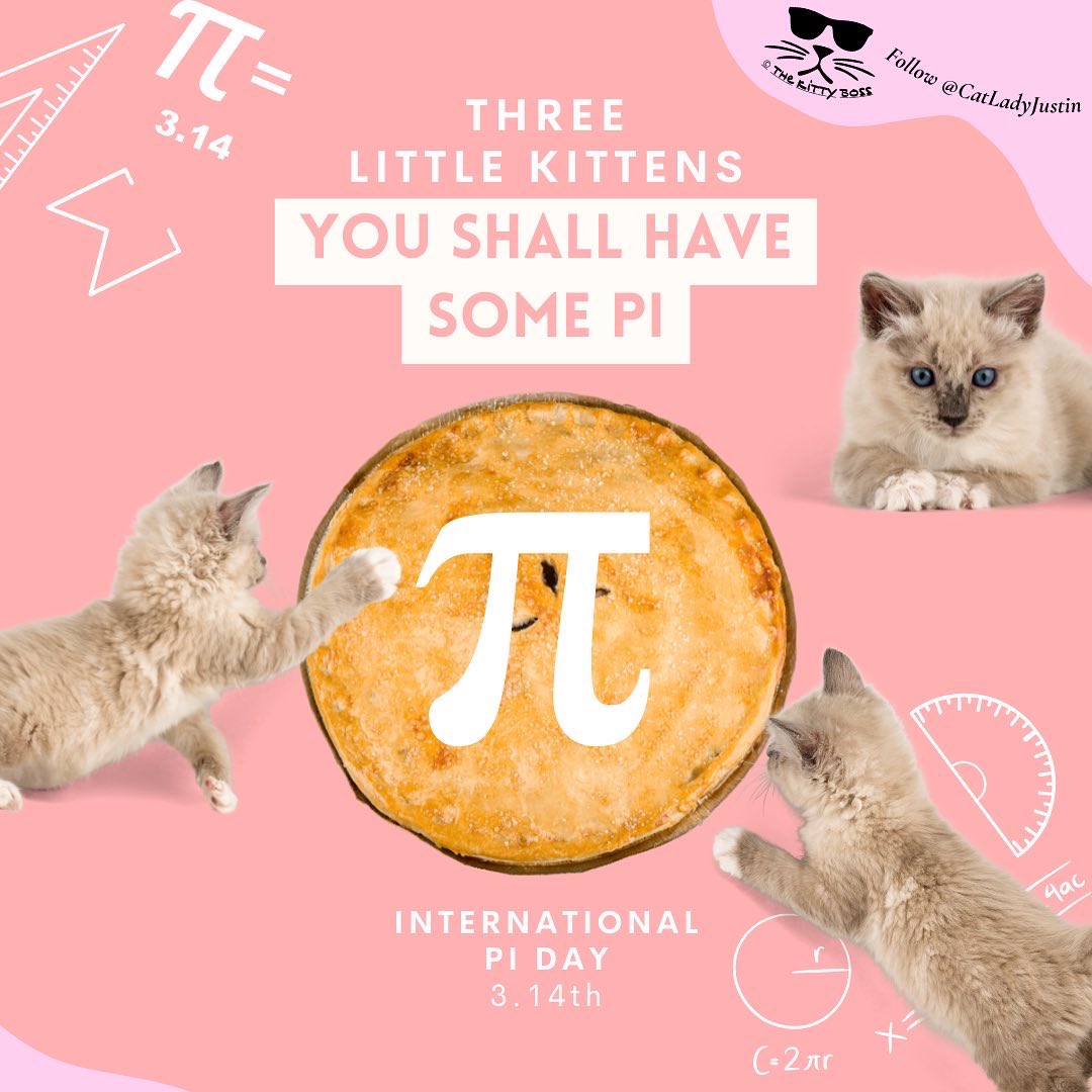 International Pi Day: How often do you cook pie, just for your cat to eyeball it & secretly attack while you’re not supervising? Happy Pi Day! #piday #pi #pie #happypiday #pieday #mathematics #kitty #catoftheday #cute #pet #animals #cats #catlover #catlife #catlovers #cutecats https://t.co/ZZAMWTr0Vf